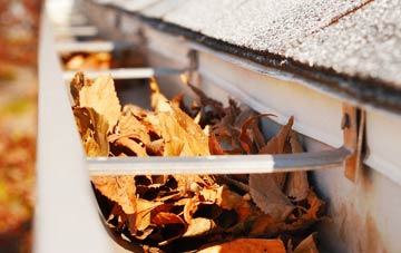 Meikle Whitefield gutter cleaning companies